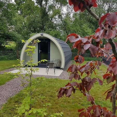 Mount Hillary Holiday Pods Cork Exterior foto